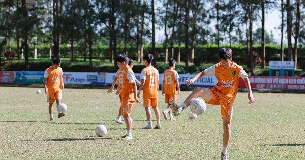 GG88 cược bóng đá: Học viện Nutifood đón lứa tài năng mới, nuôi mộng sản sinh ngôi sao như Lý Đức - hình ảnh - wingg88.vip